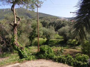 Milos Studios